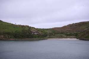 HARINGTON-POINT-DUNEDIN (43)